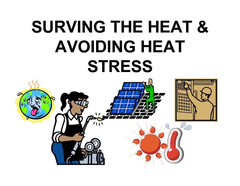 [PDF] SURVING THE HEAT & AVOIDING HEAT STRESS