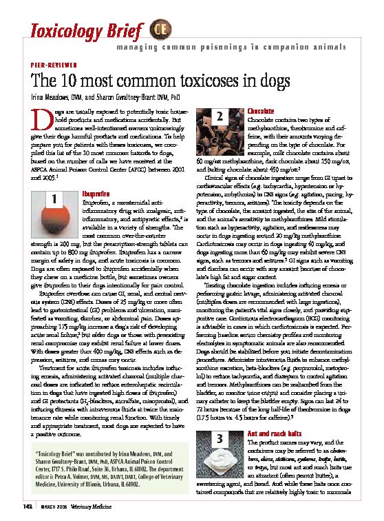 [PDF] The 10 most common toxicoses in dogs - ASPCApro