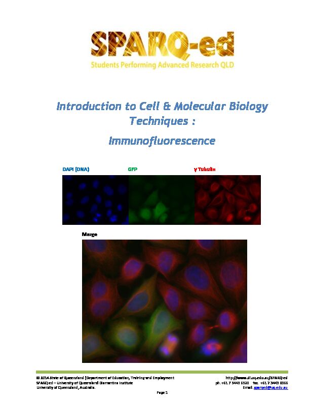[PDF] Introduction to Cell & Molecular Biology Techniques