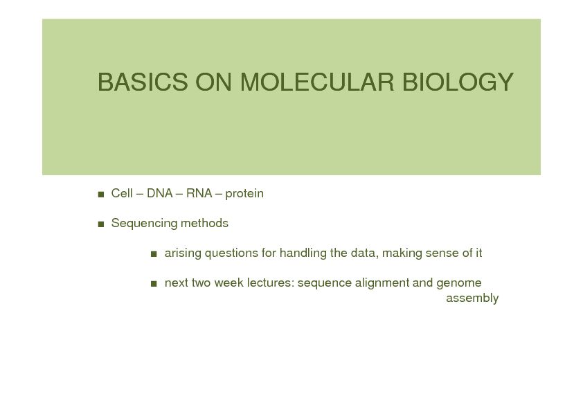 [PDF] BASICS ON MOLECULAR BIOLOGY - Computer Science