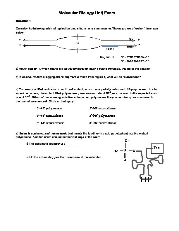 [PDF] Molecular Biology Unit Exam - MIT OpenCourseWare