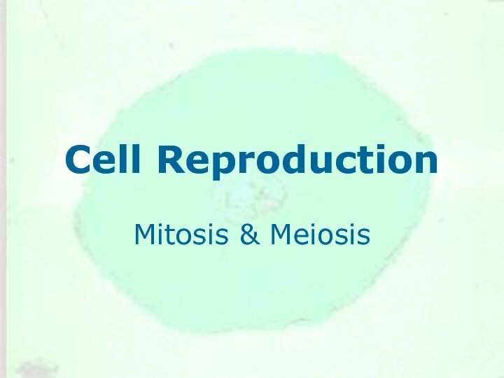 [PDF] Cell Reproduction