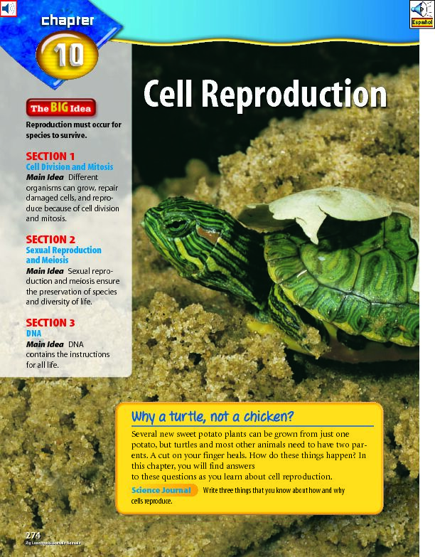 [PDF] Cell Reproduction - Amazon AWS