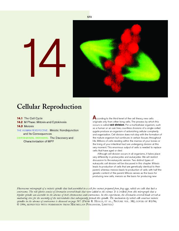 [PDF] Cellular Reproduction