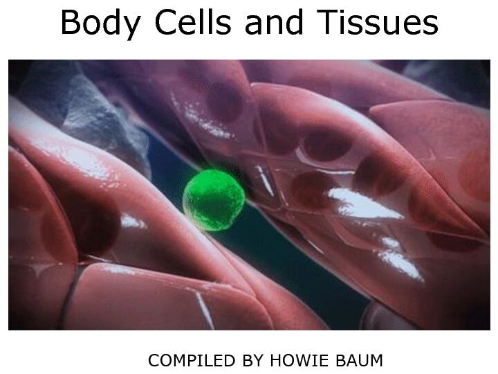 [PDF] Body Cells and Tissues