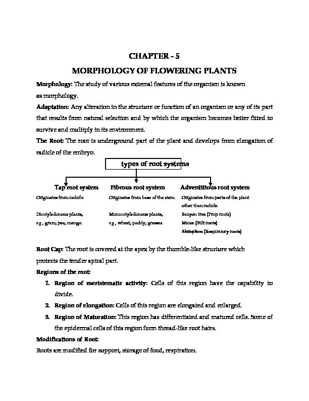 [PDF] CHAPTER - 5 MORPHOLOGY OF FLOWERING PLANTS - KEA