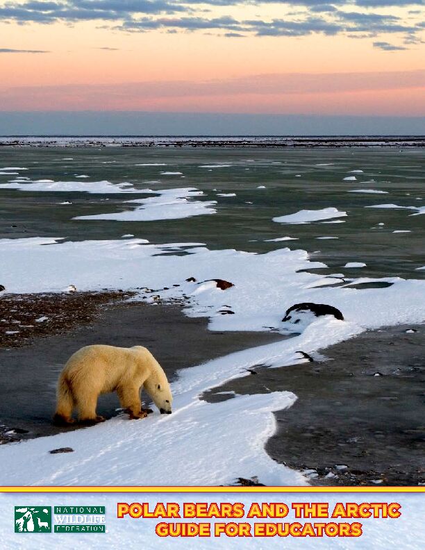 POLAR BEARS AND THE ARCTIC - Climate Classroom Kids