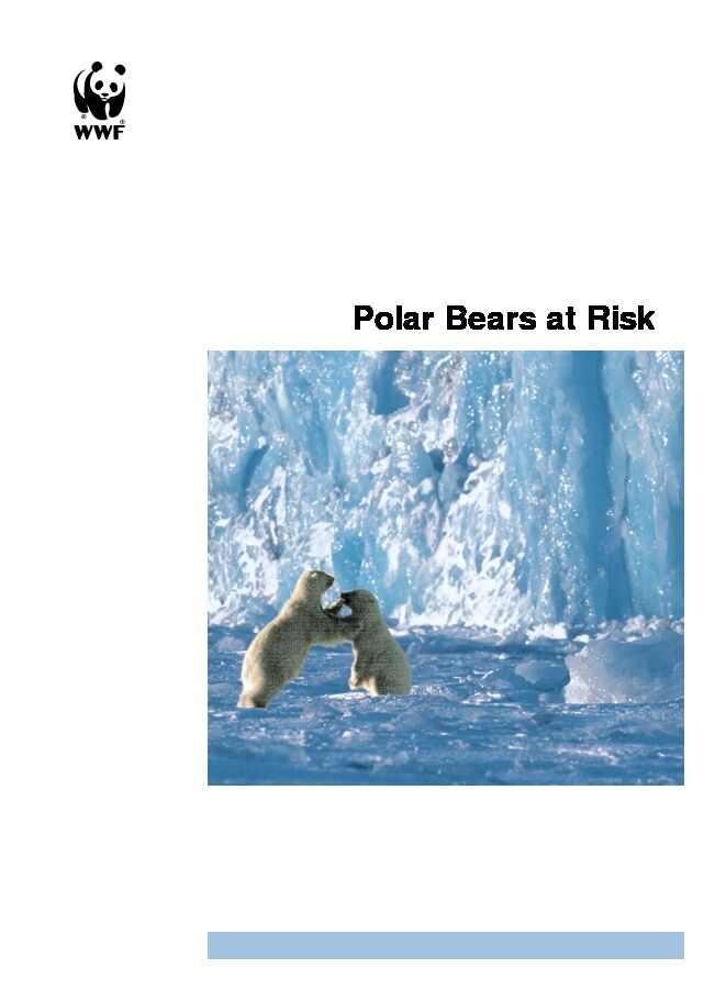 Polar Bears at Risk - WWF