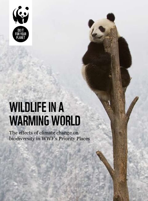 [PDF] WILDLIFE IN A WARMING WORLD - WWF