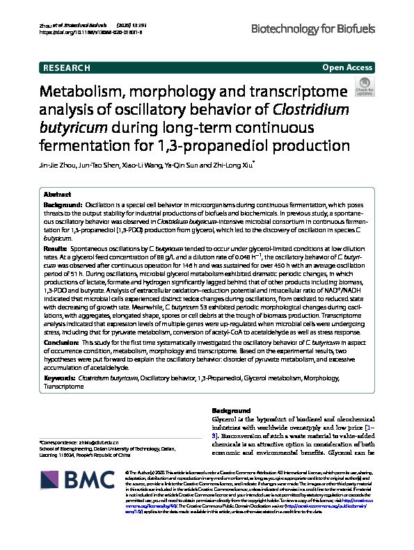 Metabolism, morphology and transcriptome analysis of oscillatory