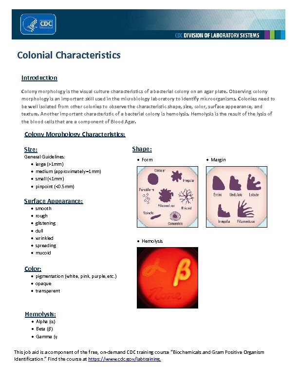 [PDF] Colonial Characteristics