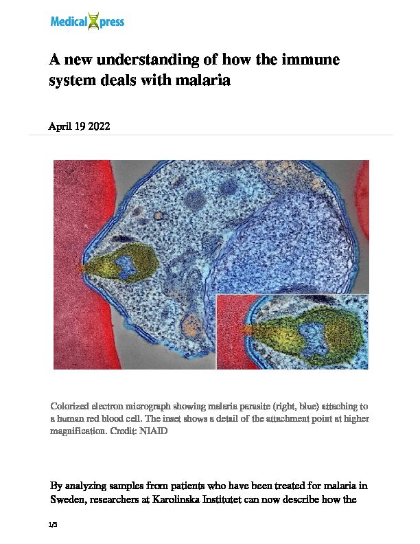 A new understanding of how the immune system deals with malaria