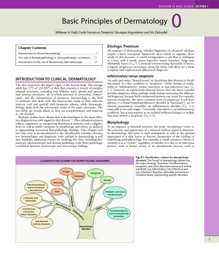 [PDF] 0 - Basic Principles of Dermatology - AWS