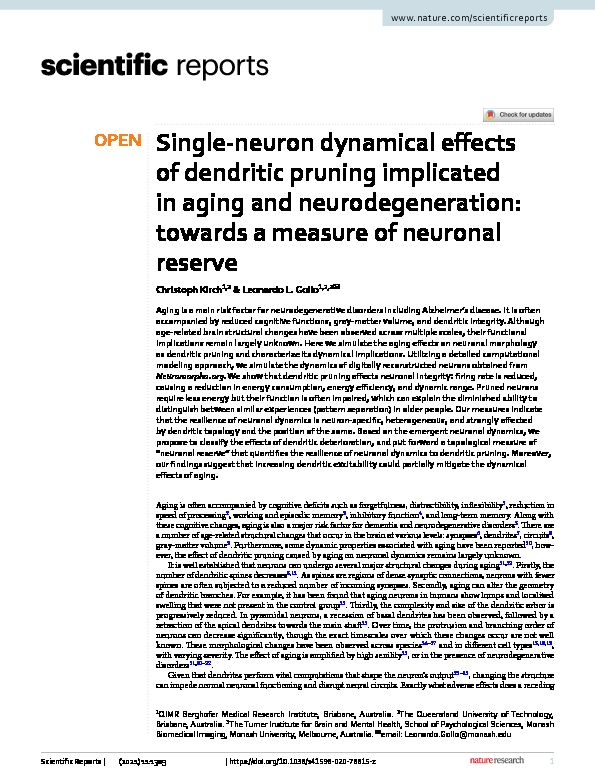 Single?neuron dynamical effects of dendritic pruning implicated in