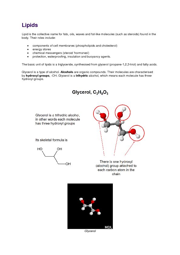 [PDF] Lipids