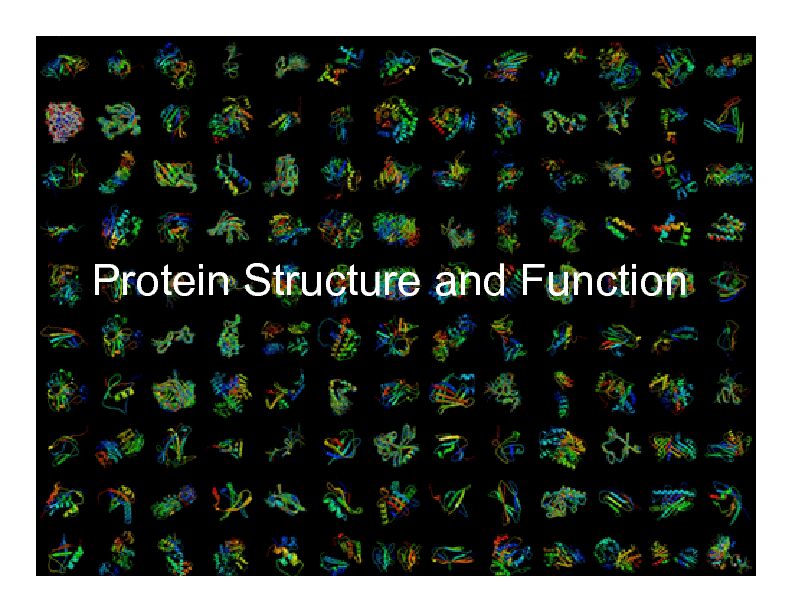 [PDF] Protein Structure and Function - University of Hawaii System