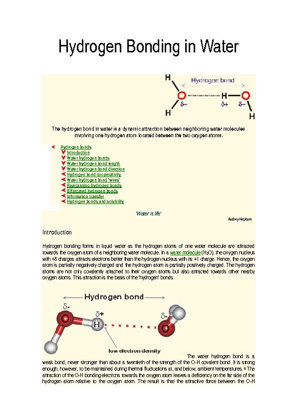 [PDF] Hydrogen Bonding in Water - Esalq