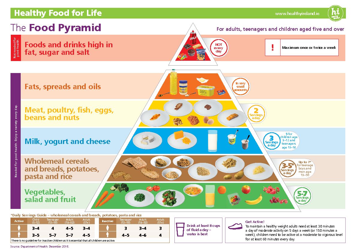 [PDF] The Food Pyramid - HSE