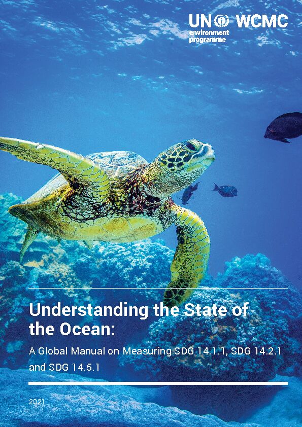 [PDF] Understanding the State of the Ocean: - Wedocsuneporg