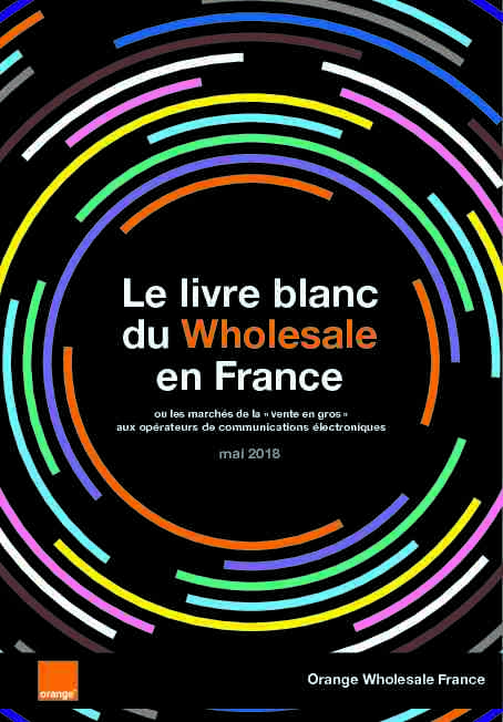 Le livre blanc du Wholesale en France