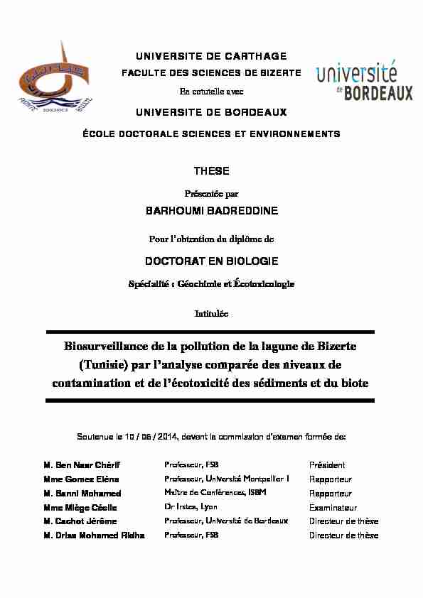 [PDF] Biosurveillance de la pollution de la lagune de Bizerte  - Thèses