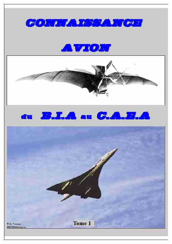 Club Aéronautique - BIA