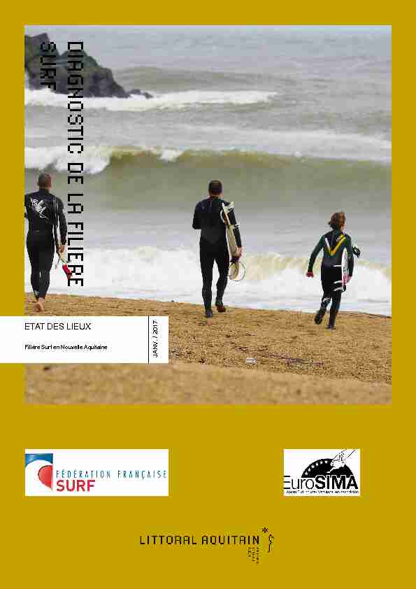 [PDF] DIAGNOSTIC DE LA FILIERE SURF - GIP Littoral