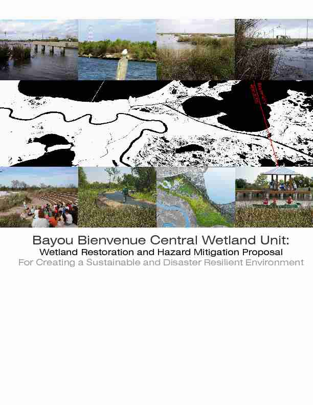 Bayou Bienvenue Central Wetland Unit: