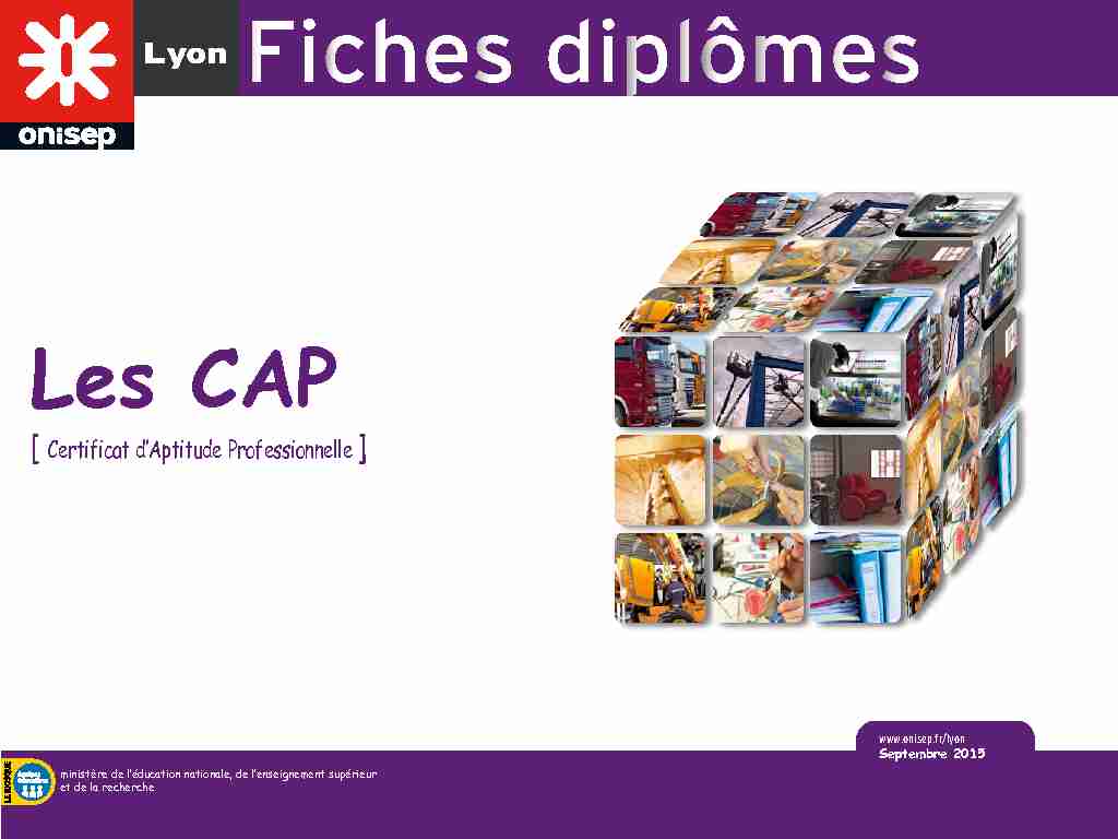 [PDF] [ Certificat dAptitude Professionnelle ] - Académie de Lyon