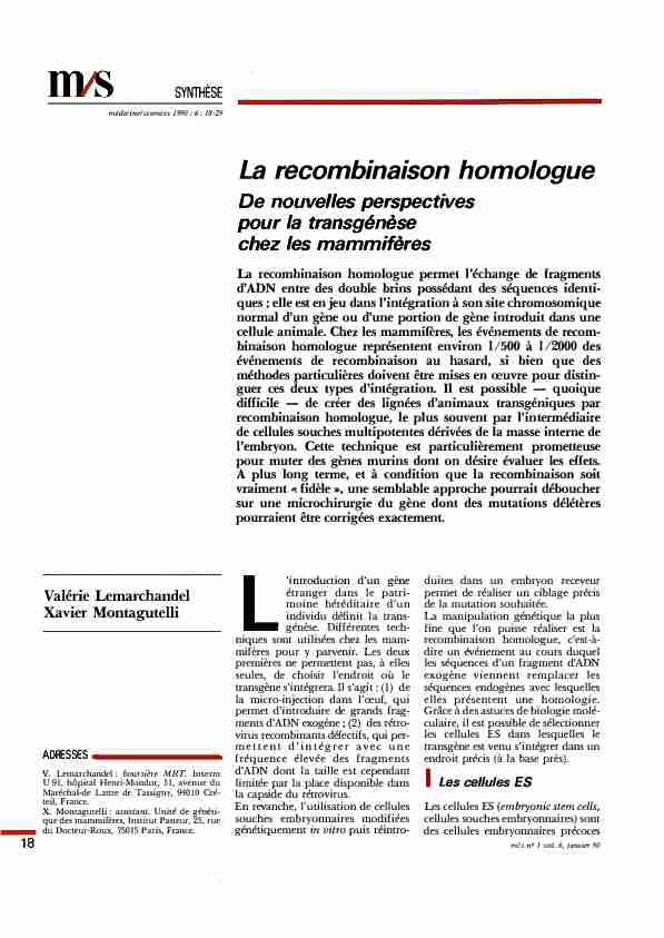 La recombinaison homologue