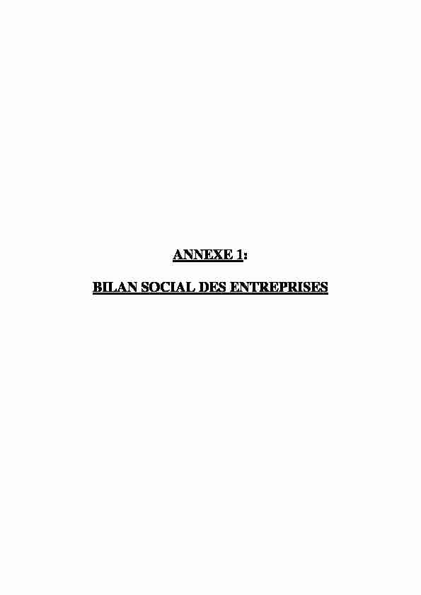 ANNEXE 1: BILAN SOCIAL DES ENTREPRISES
