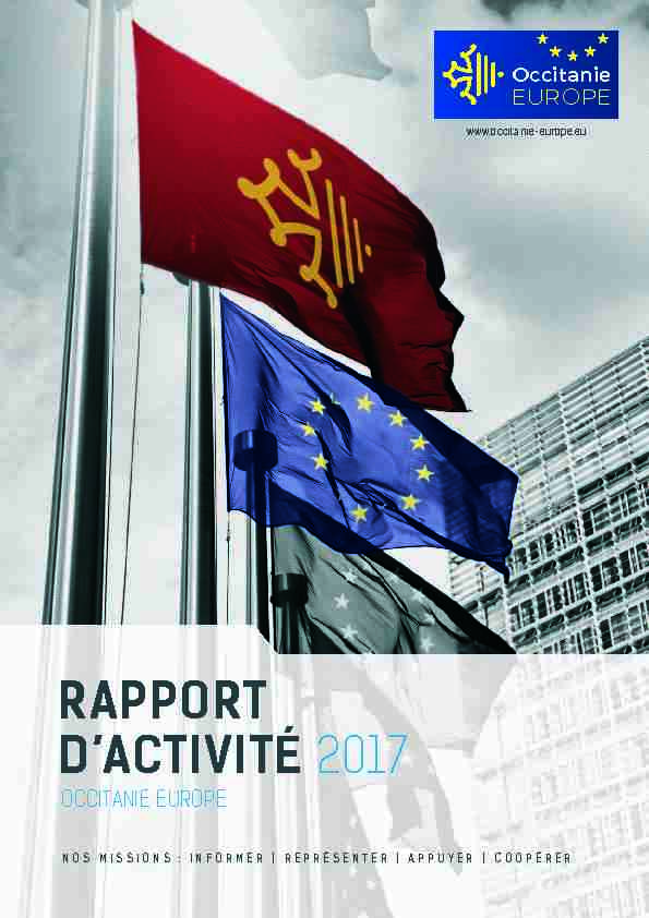 rapport dactivité 2017