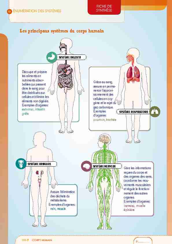 [PDF] Les principaux systèmes du corps humain