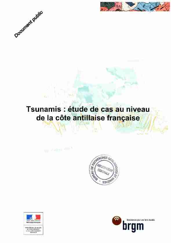 Tsunamis : étude de cas au niveau de la côte antillaise française