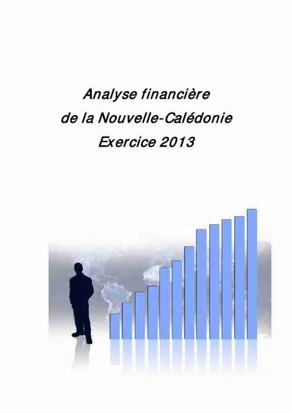 Analyse financière de la Nouvelle-Calédonie Exercice 2013