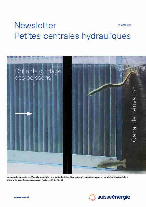 Newsletter Petites centrales hydrauliques