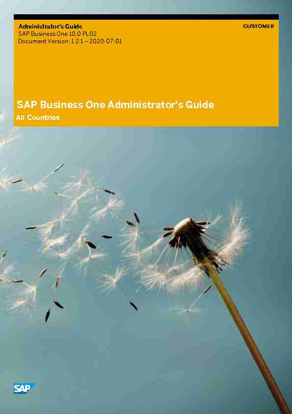 SAP Business One Administrators Guide