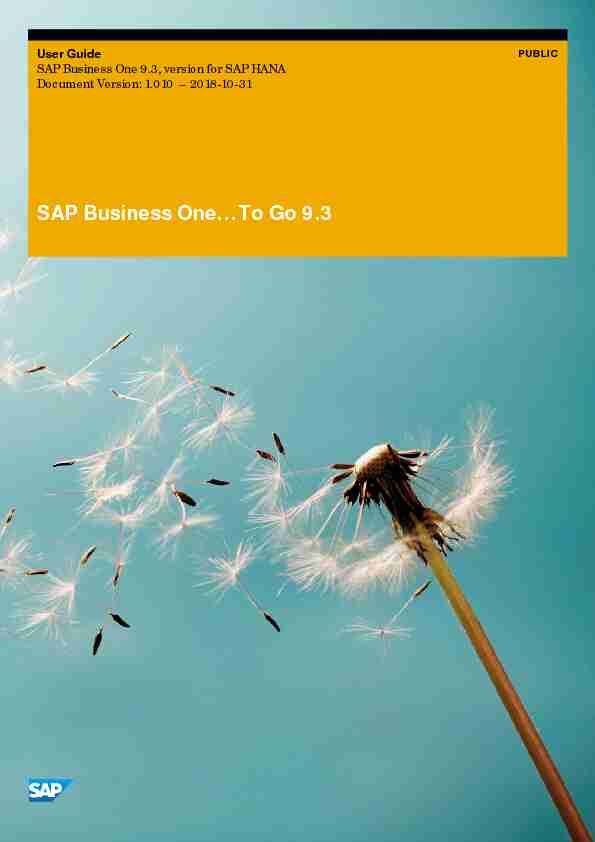 SAP Business One… To Go 9.3