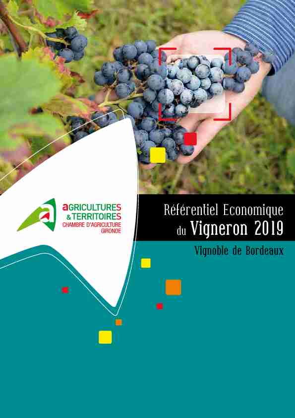 Référentiel Economique - du Vigneron 2019