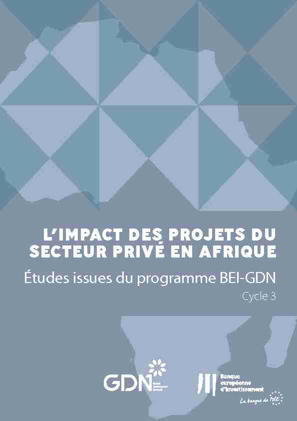 Limpact des projets du secteur privé en Afrique: études issues du