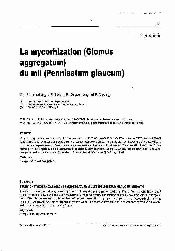 La mycorhization (Glomus aggregatum) du mil (Pennisetum glaucum)