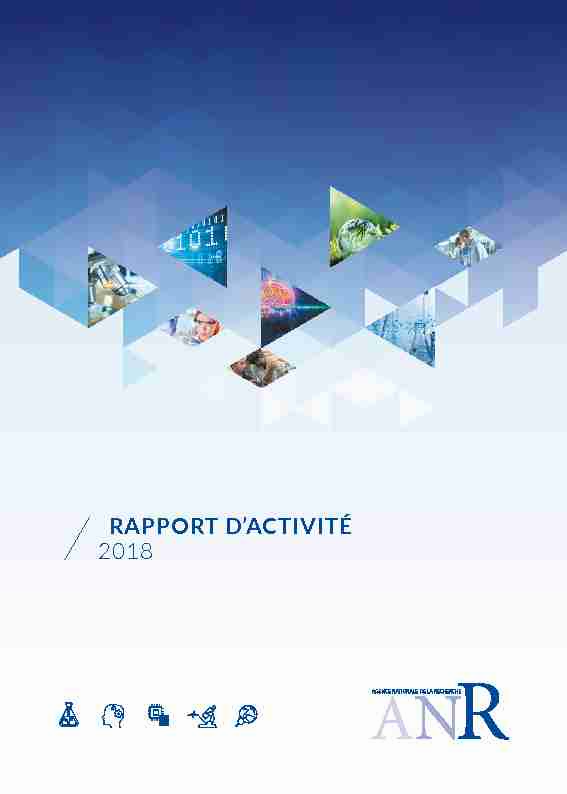 ANR-rapport-activite-2018.pdf