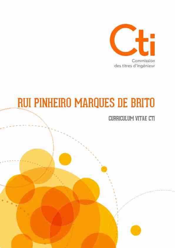 Curriculum Vitae CTI - Rui Pinheiro MARQUES DE BRITO