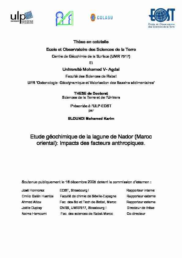 Etude géochimique de la lagune de Nador (Maroc oriental): Impacts