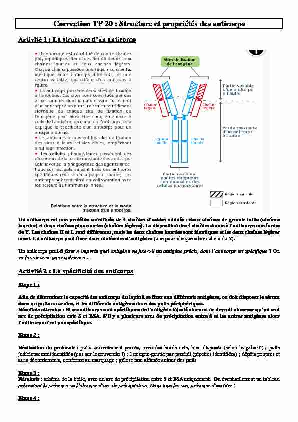 [PDF] Correction TP 20 : Structure et propriétés des anticorps