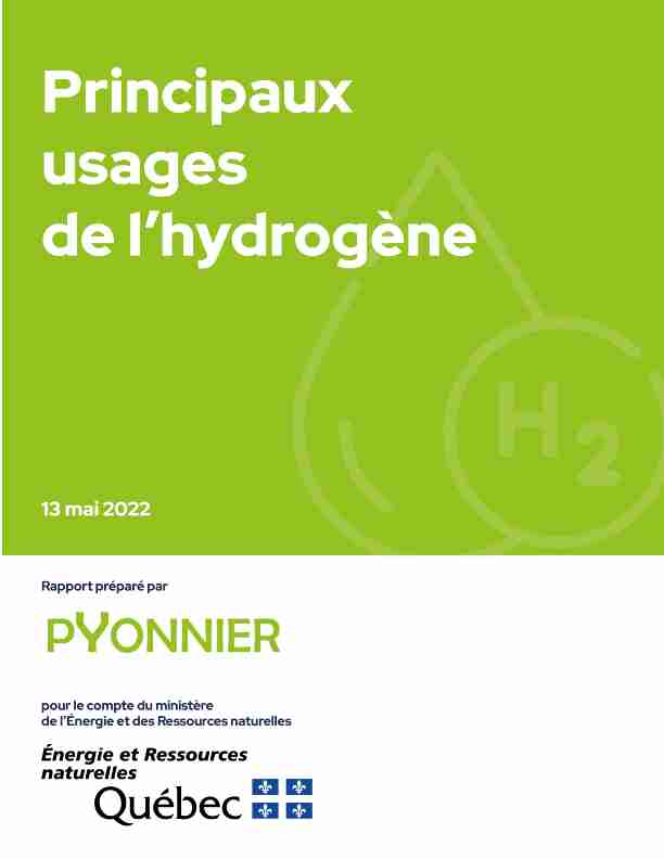 Rapport sur les principaux usages de lhydrogène - Mai 2022