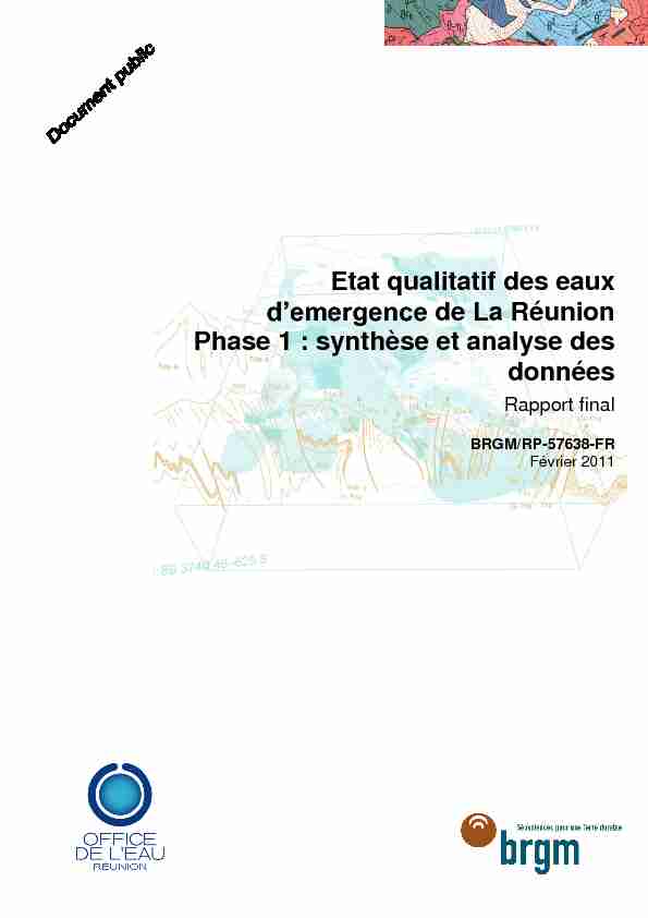 Etat qualitatif des eaux demergence de La Réunion Phase 1