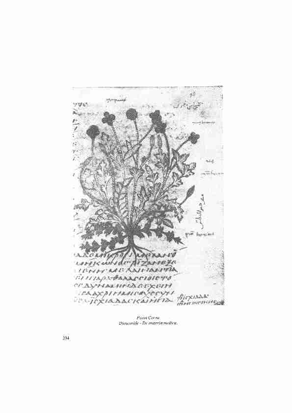 Les illustrations de plantes dans quelques manuscrits arabes de