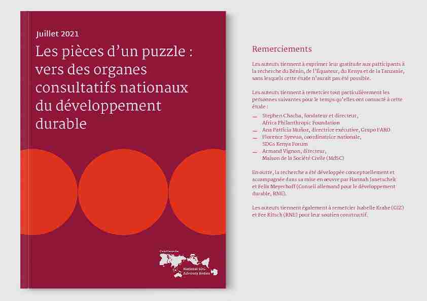 [PDF] Les pièces dun puzzle : vers des organes consultatifs nationaux du