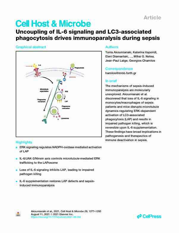 Uncoupling of IL-6 signaling and LC3-associated phagocytosis